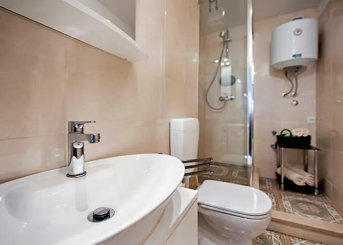 Delfin * Ρόβινι