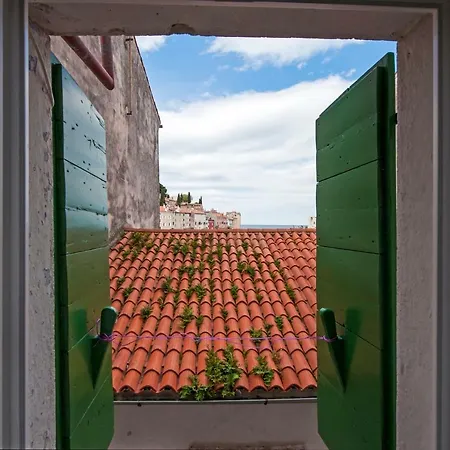 Apartment Delfin