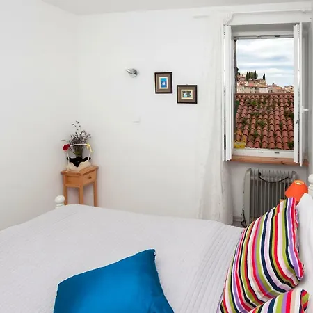 Delfin Rovinj
